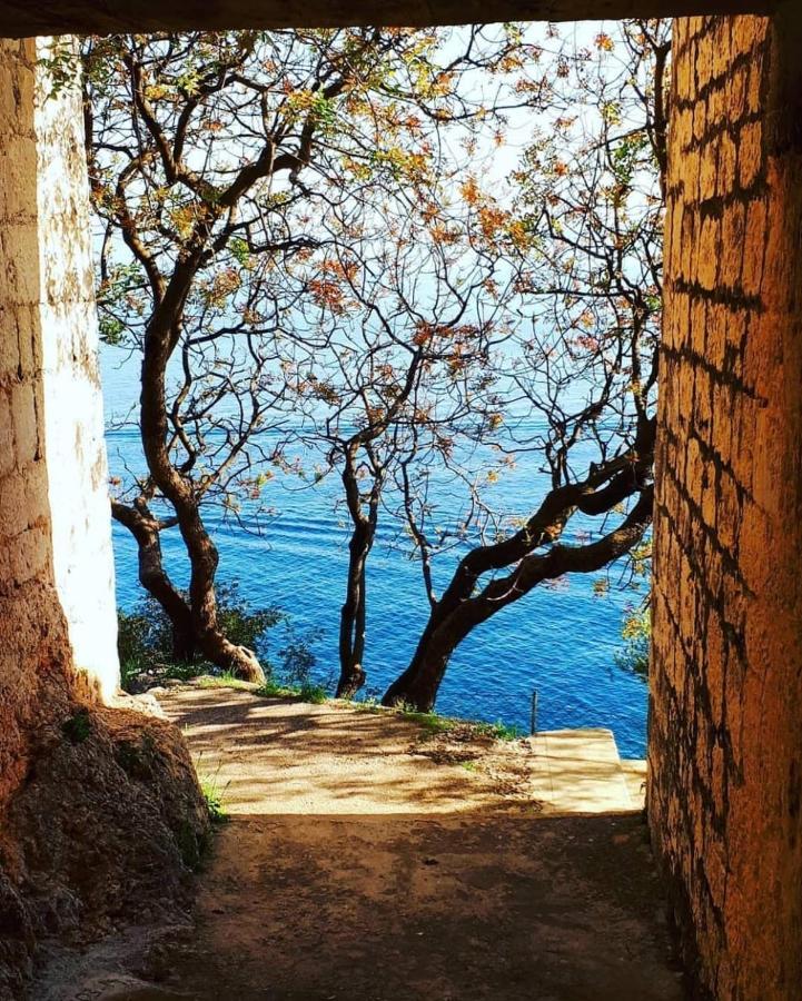 Eden Mediterranean House Vrsine Eksteriør bilde